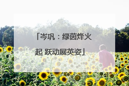 岑巩：绿茵烽火起 跃动展英姿